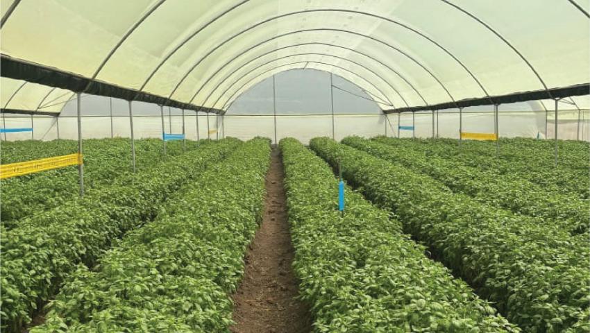 Public-Private Partnerships