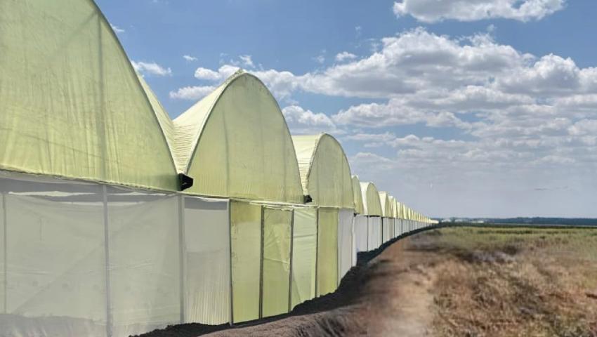 Greenhouses Agricultural Investments