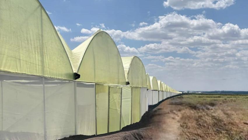 Market Access & Trade Facilitation