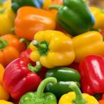 Comprehensive Solutions